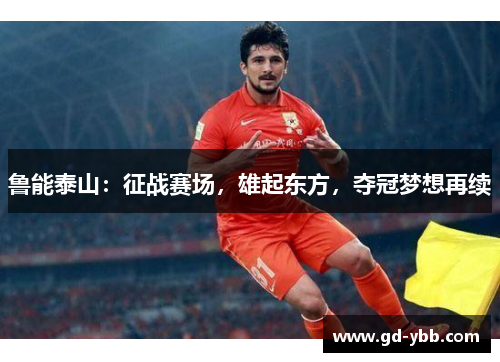 鲁能泰山：征战赛场，雄起东方，夺冠梦想再续