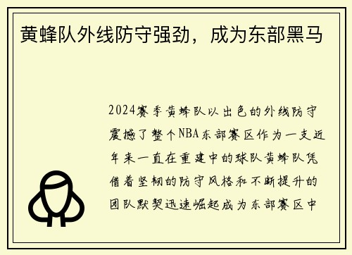 黄蜂队外线防守强劲，成为东部黑马