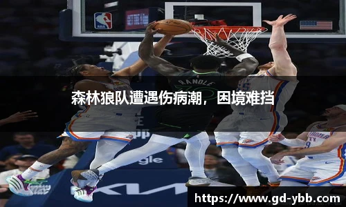 森林狼队遭遇伤病潮，困境难挡