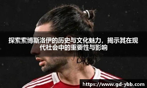 探索索博斯洛伊的历史与文化魅力，揭示其在现代社会中的重要性与影响